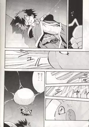 Sayonara Digimon Kaiser R