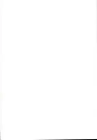 (C95) [Ikkizuka (Kizuka Kazuki)] Chitsujo Crash (Granblue Fantasy)