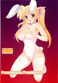 (SC57) [Testa Kitchen (Testa)] Prominence/Providence (Mahou Shoujo Lyrical Nanoha)