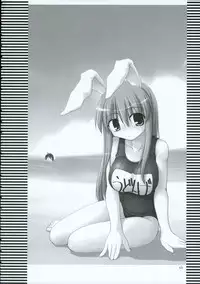 (C69) [TOYBOX (Jacky, Kurikara)] INABA BOX 2 (Touhou Project)