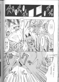 [FAKESTAR (Miharu)] CHAOS STEP 1+2 (Hellsing)