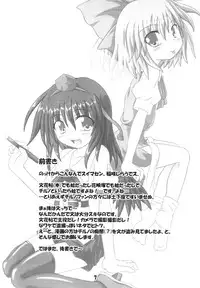 (SC30) [Schwester (Inasaki Shirau)] Rollin 22 (Touhou Project)