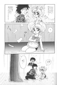 (CR14) [Shunran (Yuuki Alice)] Chibiusa Aijouhen (Bishoujo Senshi Sailor Moon R)