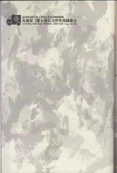 REMIX 02 2009‐2011