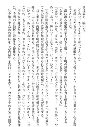 年上メイドの新婚日記