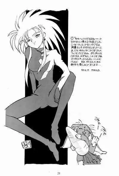 Ne Wakkaru Deshou Vol.2 bis