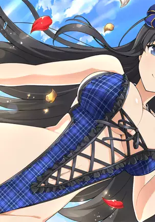 Master Ninja Senran Kagura NEW LINK - Swimsuits