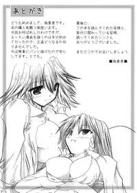 (Reitaisai 3) [Pigeon Blood (Various)] Four of a Kind (Touhou Project)