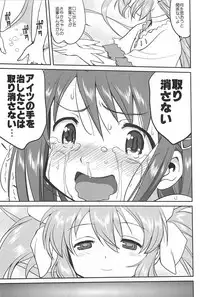 (C81) [Takotsuboya (TK)] Dare mo Shiranai (Puella Magi Madoka Magica)