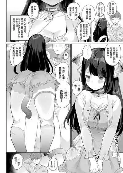 Sute neko konshasunesu