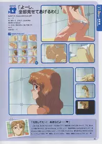 Super Real Mahjong Visual Fan Book Perfect Collection