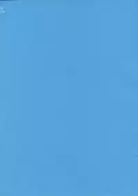 (C70) [Kyouken Diners (Yonekura Kengo)] Red Ache (Neon Genesis Evangelion) [English]