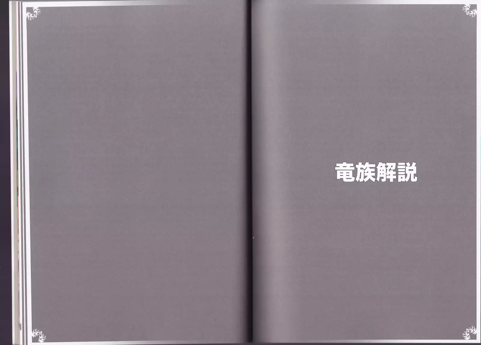 Monster Girl Encyclopedia World Guide - Side I: Dragonia