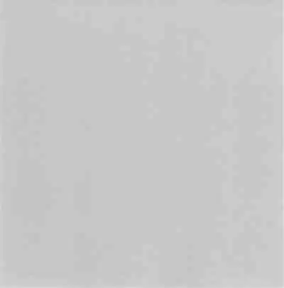 深い森の影から