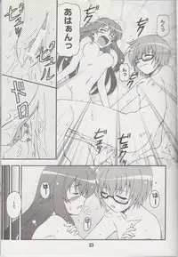 (C74) [Shinohara Heavy Industry (Various)] Louisex (Zero no Tsukaima)