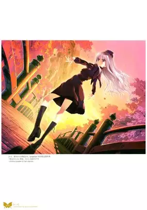 八宝備仁画集 紅蝶（ほてり）