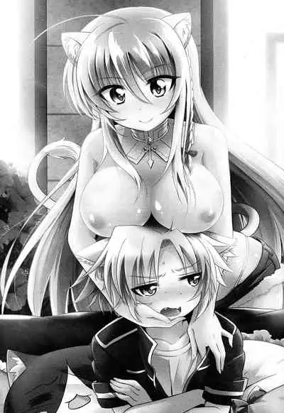 (C84) [Tamafuwa (Okino Matsushiro)] Aneue o Hitorijime (DOG DAYS) [English] [SDTLs]