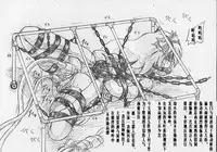 [すもも堂] びびあん別冊.4（有条色狼汉化）